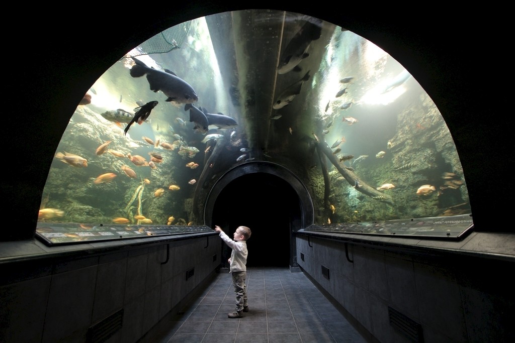 Aquarium Hradec kralove